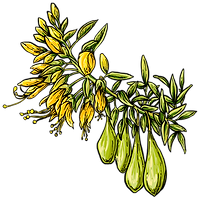 12.png