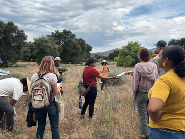 A group of people stand outside on a mountain amid tall grass