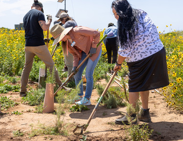 Training participants use stirrup hoes to remove weeds outside at Sweetwater Marsh.