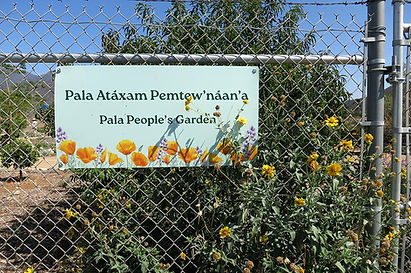 The front entrance to Pala Atáxam Pemtew’náan’a (Pala People’s Garden)