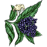 7.png