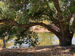 cool-wallpaper-dawn-hd-wallpaper-66997.j