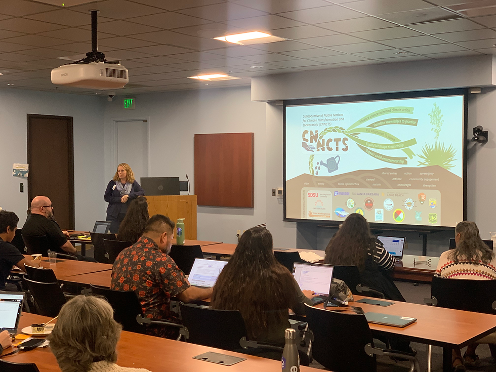CNNCTS Foundational Partner, Megan Jennings, presents an initial vision for the project to a room full of partners