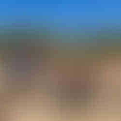 A group of people stand around fallen trees and timber outside, as part of the Lumbercycle team’s project demonstration, with a forested landscape in the background.