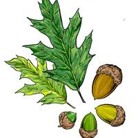 4.png