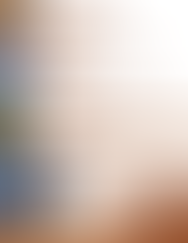 Page one of the TWG Small Grants flyer, consisting of text included in this blog.