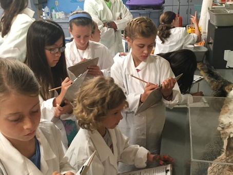 Climate Kids @ The Fleet Center