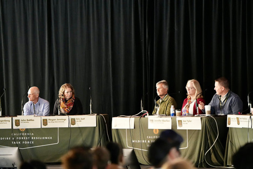 Panelists sit along multiple tables on the stage, speaking to the microphones, in discussion with each other.