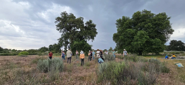 A group of people stand on a mountain under trees