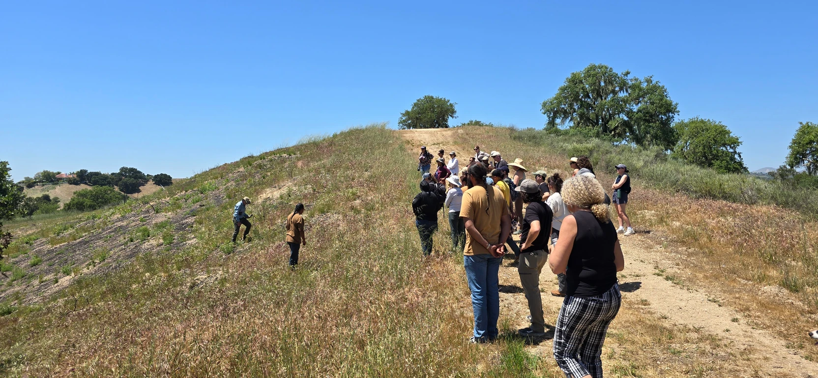 A group of people walk up a dirt path on a mountain