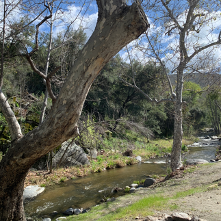 A small stream flowing through the campground on a beautiful sunny day.