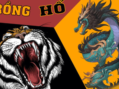 Rong ha k8vina la gi