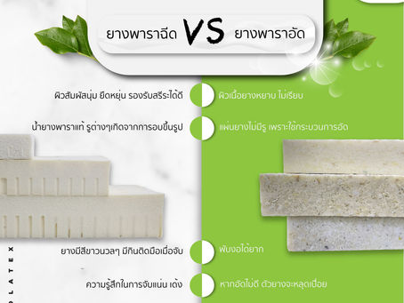 ความแตกต่างยางพาราฉีดและยางพาราอัด
