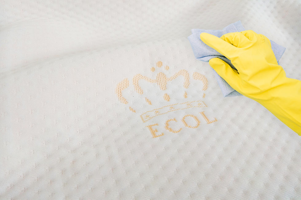หมอนยางพารา , อีโค่ เลเท็กซ์ , Ecolatex