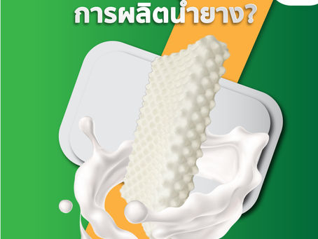 การผลิตน้ำยาง
