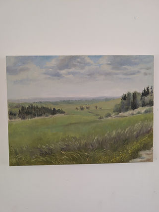 PXL_20260728_100949614.jpg