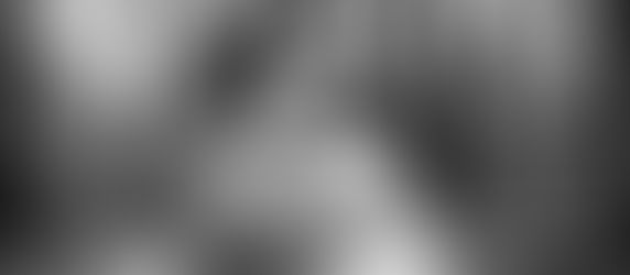 Year and Half Milestone Session