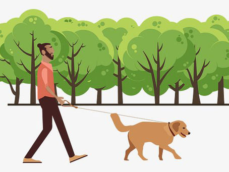 Mindful Walking With Your Dog