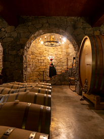 World Wine apresenta portfólio diverso e de alta pontuação no Descorchados 2026