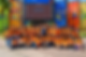 ree