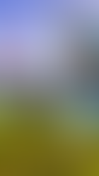 Fenômeno global, Pokémon ganha encontro especial de colecionadores no shopping Pátio Brasil