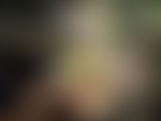 Quarta etapa do Mitsubishi Experience chega a Morros, no Maranhão