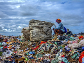 COP30 receberá exposição com fotografias sobre preservação ambiental no Brasil
