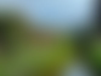 Carnaval em Petrópolis tem alta procura por hospedagem e previsão de tempo firme