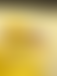 Final do Pedreiro Top Brasil 2025 consagra o campeão entre três finalistas