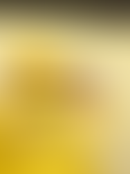 Final do Pedreiro Top Brasil 2025 consagra o campeão entre três finalistas