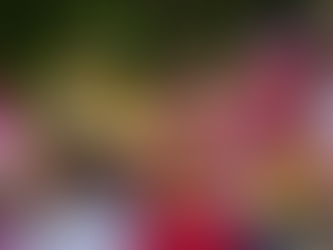 Quer saber onde vai ser o Carnaval em Brasília? Confira a melhor lista de festas e blocos do Deu Bom Brasília