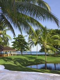 Tivoli Ecoresort Praia do Forte avança na agenda ESG com compra de ovos cage-free e incentivo à produção local