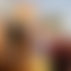 Galinho de Brasília frevando rumo ao Hexa na segunda de Carnaval