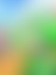 Experimente uma versão demo e confira o que esperar na mais nova aventura de Yoshi