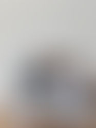 Especialista aponta passo a passo de como evitar calotes e problemas jurídicos em repúblicas estundantis  