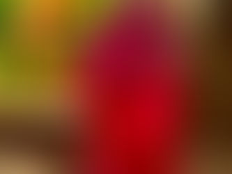 Muito além da cozinha oriental: versátil e saboroso, sake combina com diferentes tipos de gastronomia