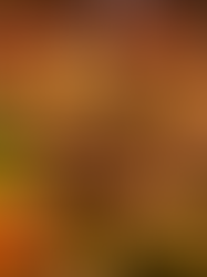 Donna Pinha abre a temporada do pinhão em Santo Antônio do Pinhal