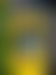 Revelada marca oficial da Copa do Mundo Feminina da FIFA 2027™, que tem Brasília como uma das cidades-sede