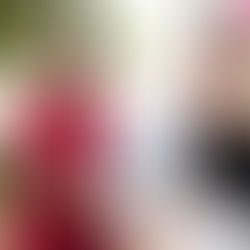 Projeto Elas Publicam sai do quadradinho de Brasília para alçar voos maiores em novas frentes de atuação 