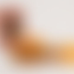 Heinz e Grupo T.T. Burger se unem em lançamento de burger exclusivo