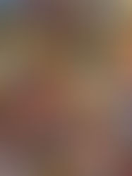 Pokémon Day: fãs se reúnem no Conjunto Nacional para trocar cartas e celebrar três décadas da franquia