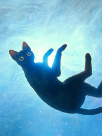 CCBB Brasília promove mostra de cinema infanto-juvenil durante as férias