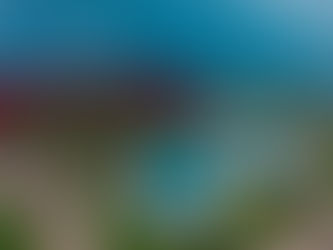 Royal Tulip Brasília Alvorada faz seu primeiro Arraiá com pacote especial