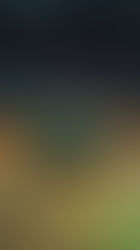 Pré-venda para Hot Wheels Monster Trucks Live™ em Brasília começa no dia 24 de abril