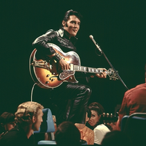 Pré-venda para Elvis in Concert no Brasil começa nesta quinta-feira (13)