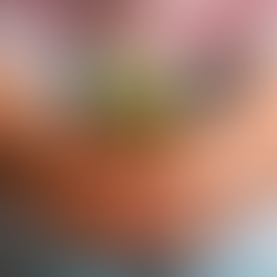 Oficinas de plantio de hortaliças animam as férias das crianças no Boulevard Shopping Brasília