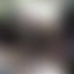 Vinhos S.A. leva Monte Reale e Família Geisse à 20ª Vinum Brasilis