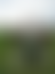 ia.ê anuncia lançamento oficial para 8 de dezembro e promete transformar a forma de escolher bares e restaurantes em Brasília