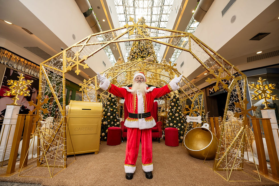 Brasília Shopping apresenta: Os Ursos Guardiões do Natal