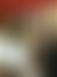 Vinhos do verão: leves, refrescantes e gastronômicos